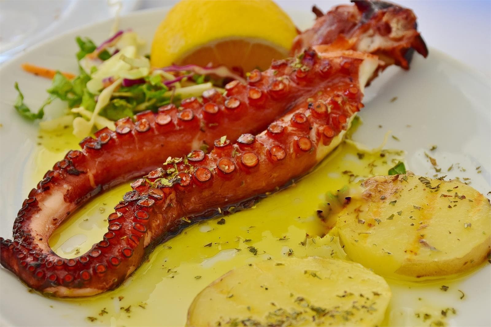 ¿Cómo diferenciar el pulpo gallego del foráneo? - Imagen 1
