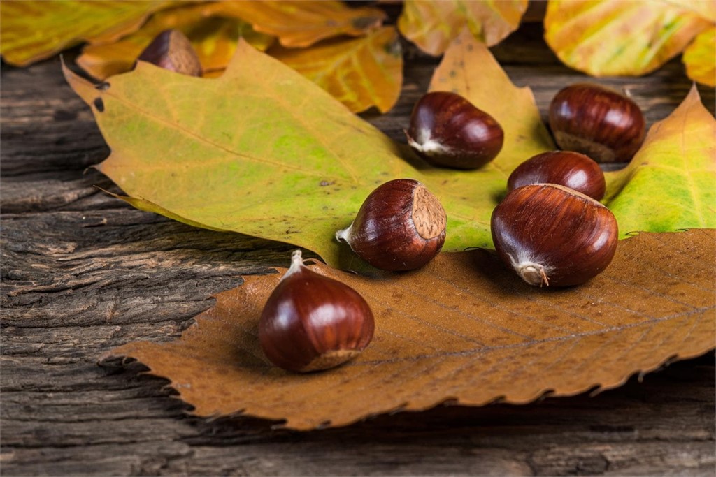 Postres típicos gallegos para disfrutar en otoño