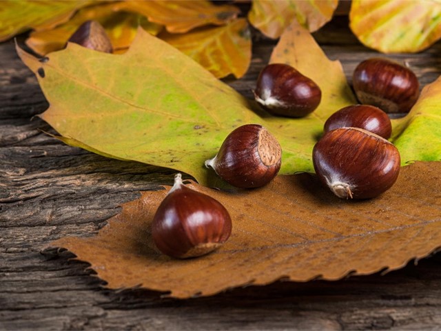 Postres típicos gallegos para disfrutar en otoño