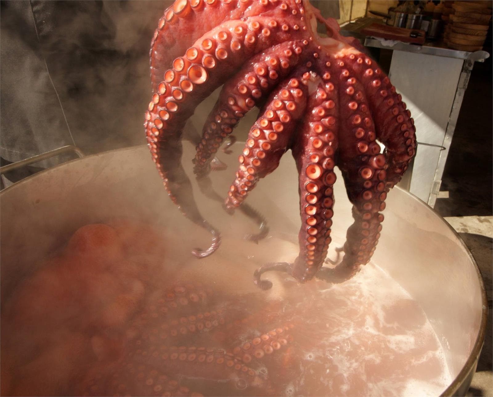 Recetas innovadoras con pulpo a la gallega - Imagen 1