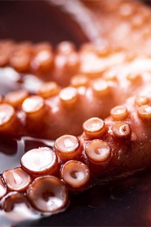 Las mejores pulperías de Galicia